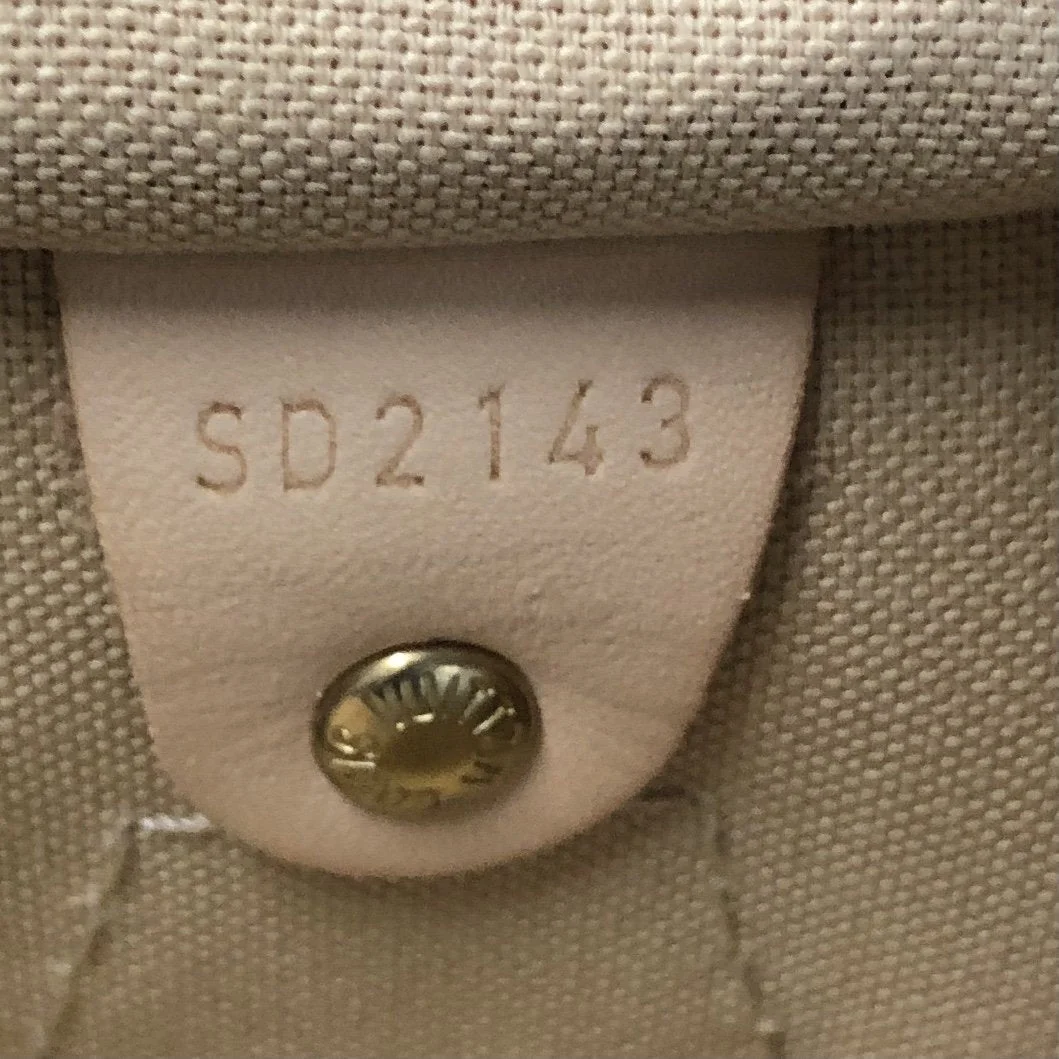 Speedy Handbag Damier 35