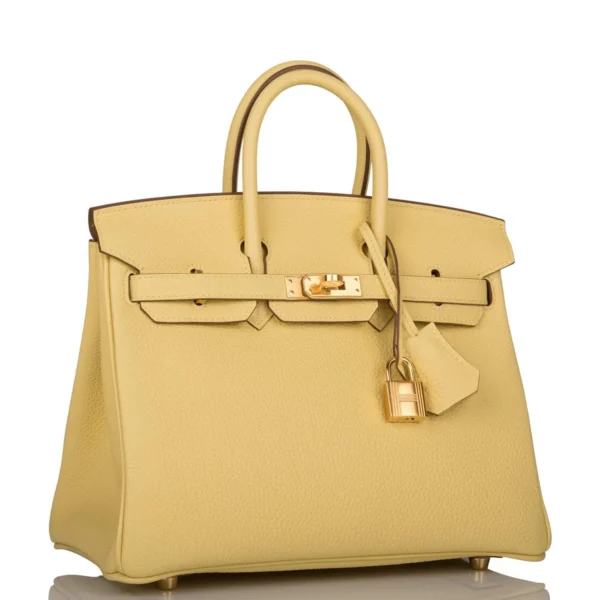 Hermes Birkin 25 Jaune Poussin Togo Gold Hardware