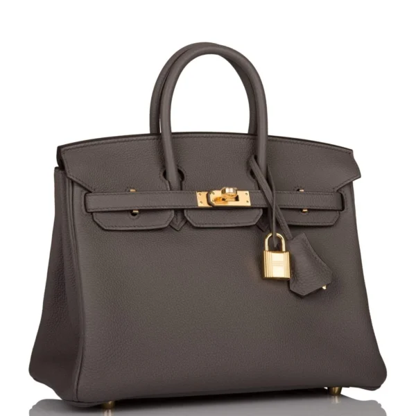 Hermes Birkin 25 Etain Togo Gold Hardware