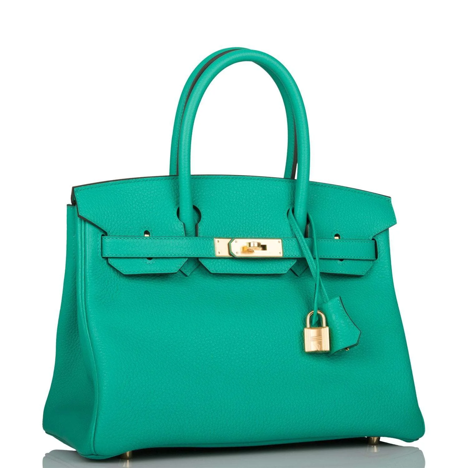 Hermes Birkin 30cm Menthe Togo Gold Hardware