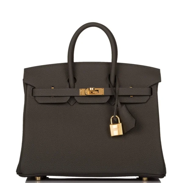 Hermes Birkin 25 Vert de Gris Togo Gold Hardware